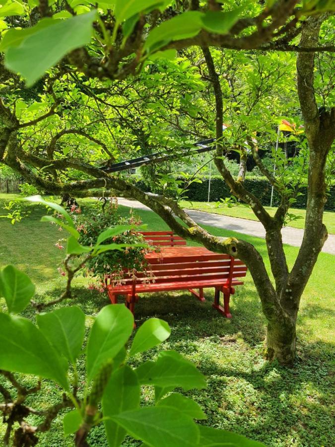 B&B Am Sahrbach Altenahr Εξωτερικό φωτογραφία